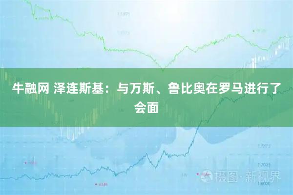 牛融网 泽连斯基：与万斯、鲁比奥在罗马进行了会面