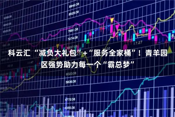 科云汇 “减负大礼包”+“服务全家桶”！青羊园区强势助力每一个“霸总梦”