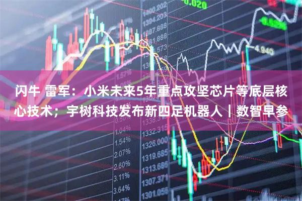 闪牛 雷军：小米未来5年重点攻坚芯片等底层核心技术；宇树科技发布新四足机器人｜数智早参