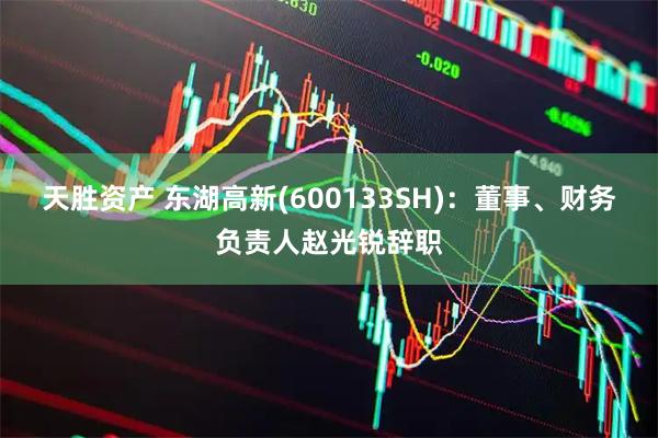 天胜资产 东湖高新(600133SH)：董事、财务负责人赵光锐辞职